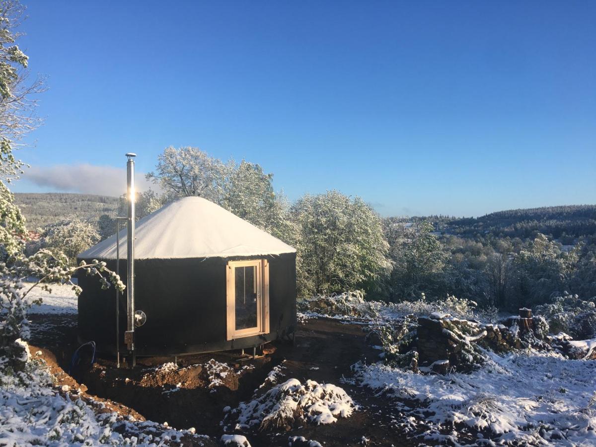 Black Yurt Chromiec *