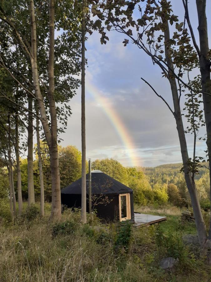 Black Yurt Chromiec
